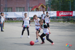 DSC03501