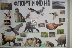 Дани Науке 2012.