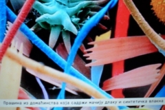 Фестивал науке 2011