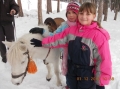 2013-12-01-zlatibor-069