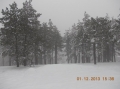 2013-12-01-zlatibor-115