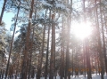 2013-12-03-zlatibor-022