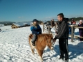 2013-12-03-zlatibor-049