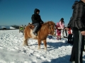 2013-12-03-zlatibor-053