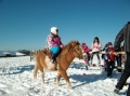 2013-12-03-zlatibor-054