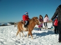 2013-12-03-zlatibor-055