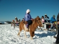 2013-12-03-zlatibor-056
