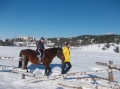 2013-12-03-zlatibor-072