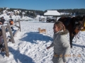 2013-12-03-zlatibor-109