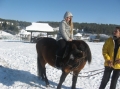 2013-12-03-zlatibor-165