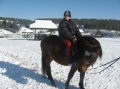 2013-12-03-zlatibor-177